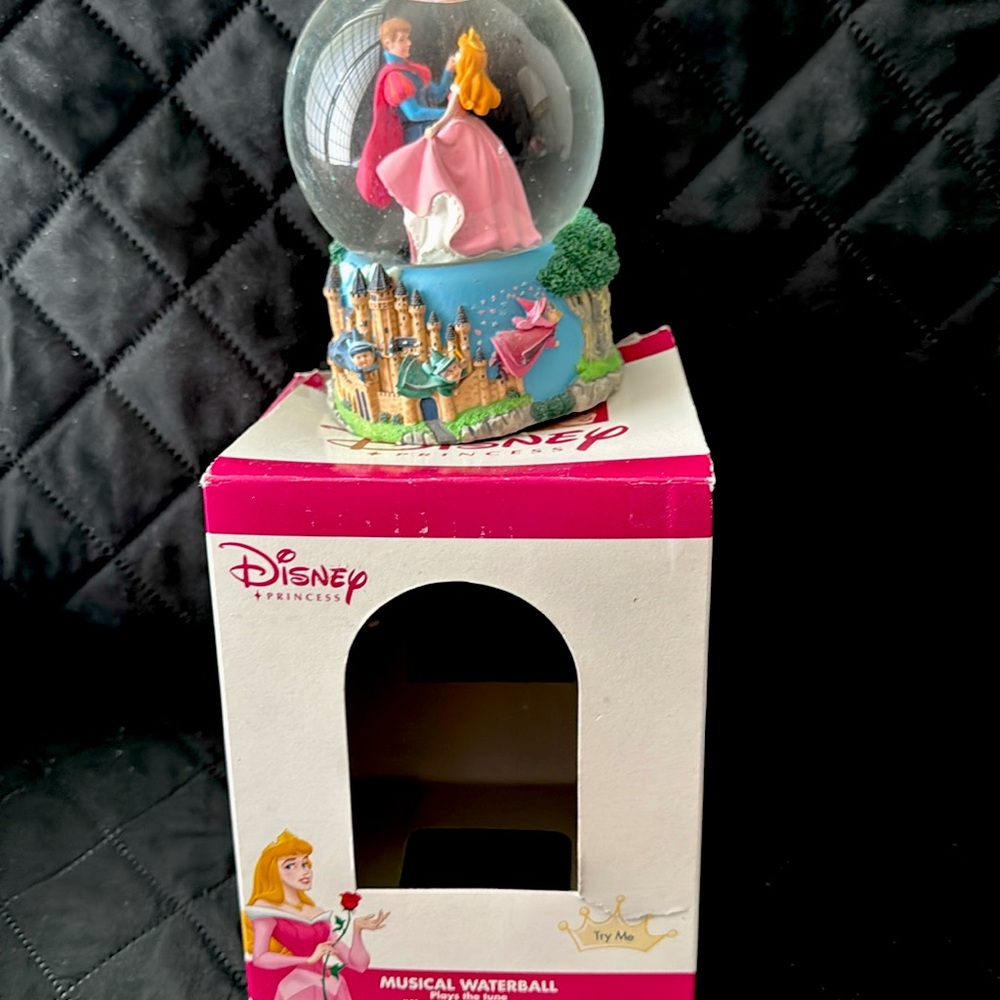 Disney princess musical water ball